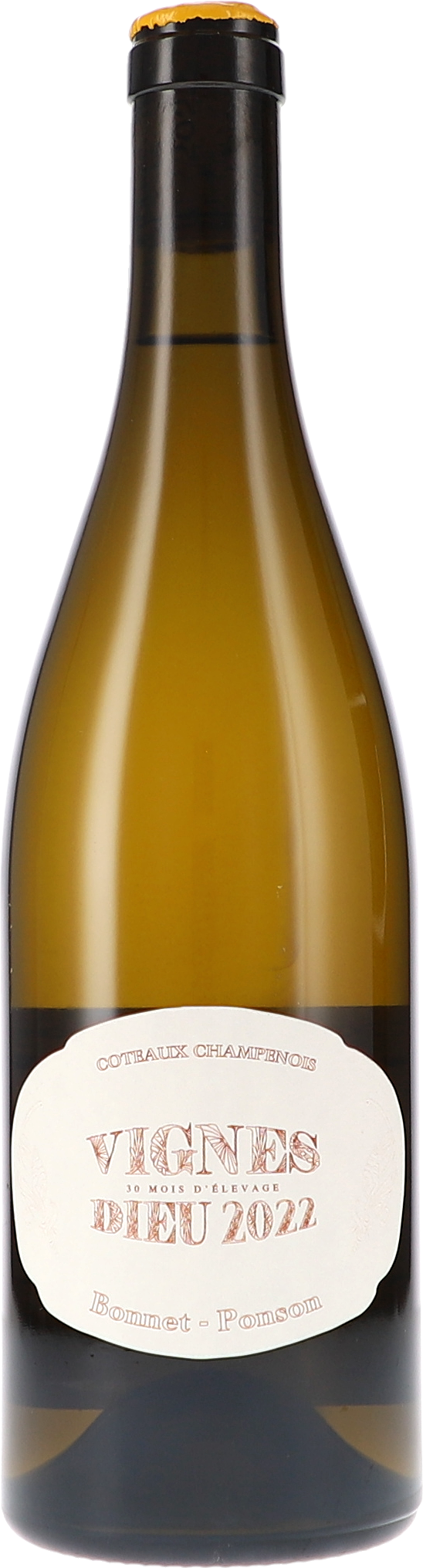 Vignes Dieu Blanc, Coteaux Champenois