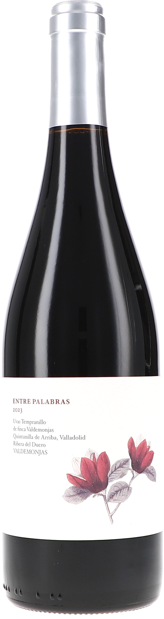 Entre Palabras - Between Words