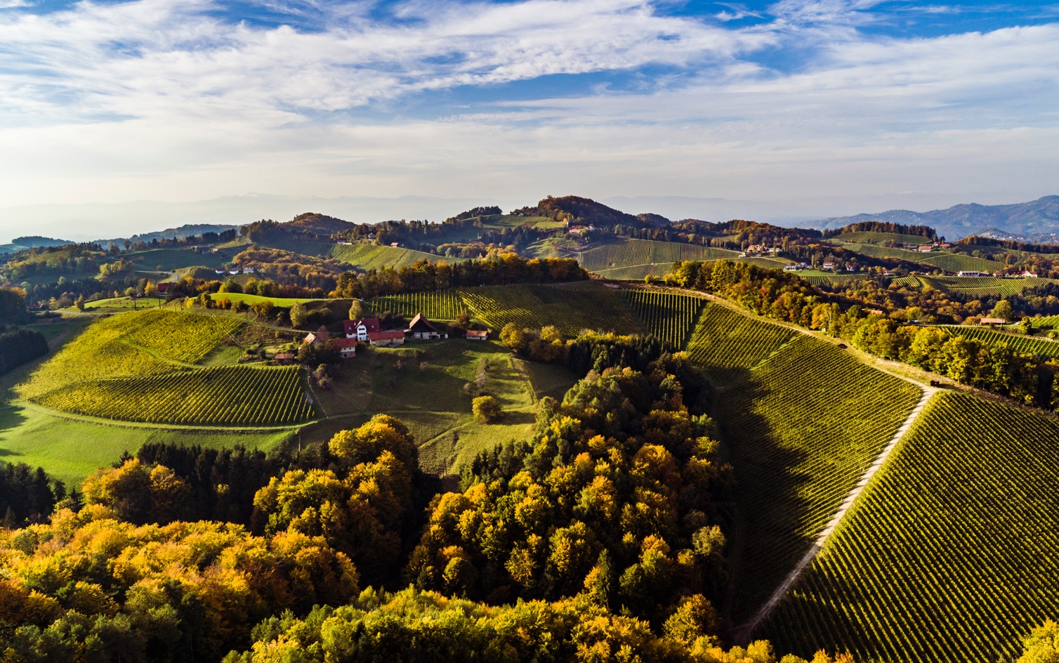 Weinberge, Landschaft, Hügel, Weinbau, Herbstfarben