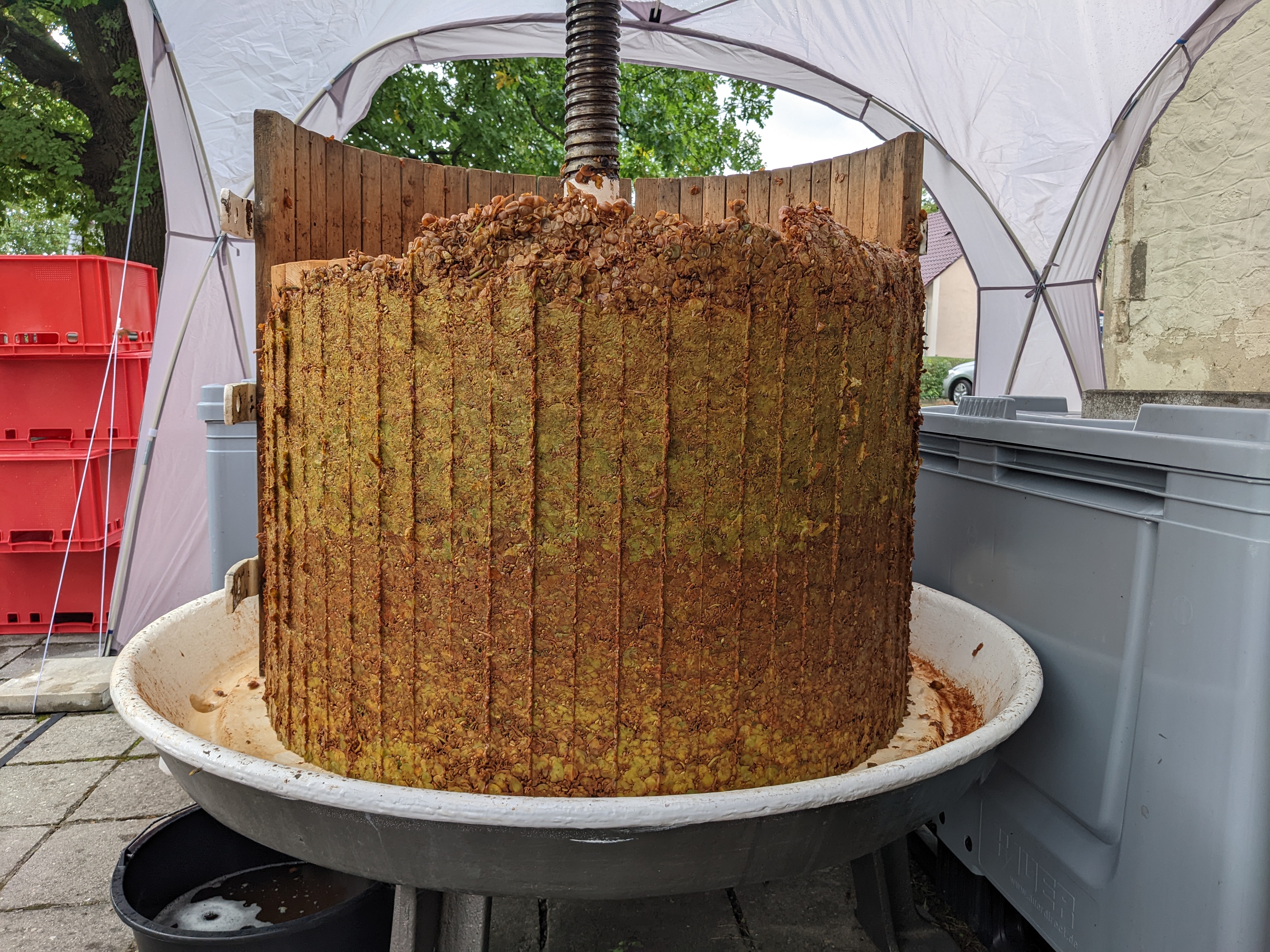 Honigwabe, Bienenwaben, Wabenstruktur, Imker, Holzwand