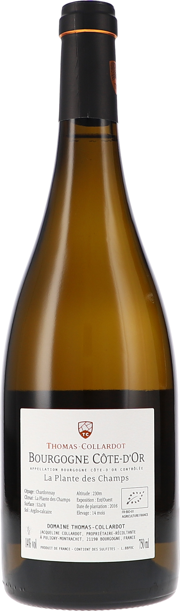 Alkohol, Flasche, Schnaps, Weinflasche, Bier