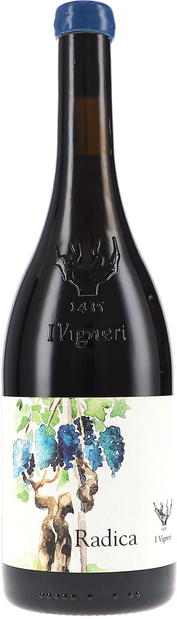 wein, rotwein, weinflasche, traubenrebe, etikett