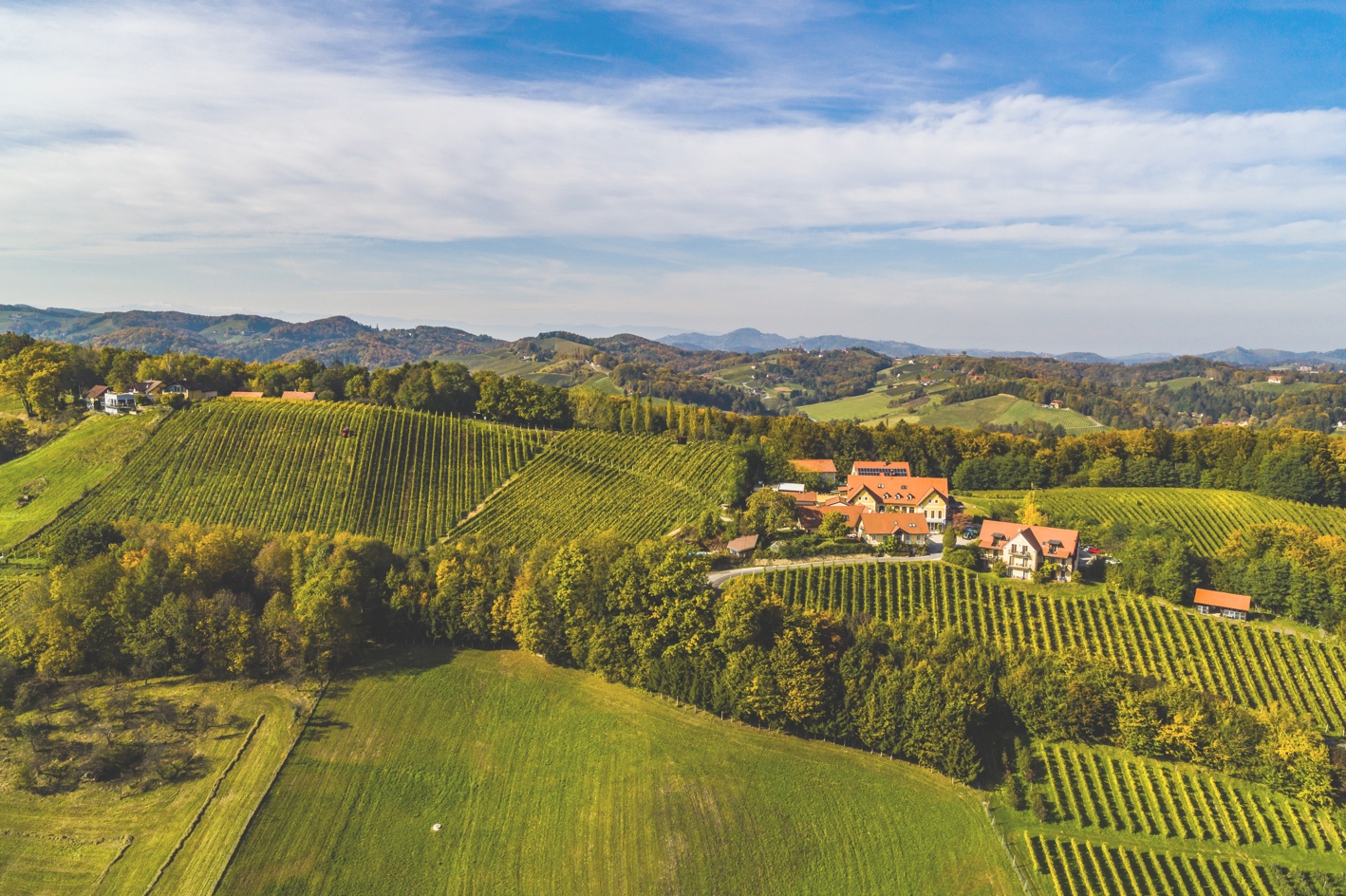 Weinberg, Weinreben, Landschaft, Dorfszene, Hügel