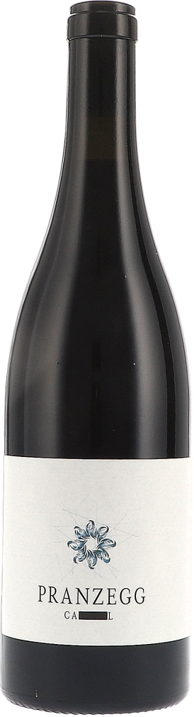 Campill Wein, Flasche, Rotwein, Etikett sichtbar, dunkles Glas