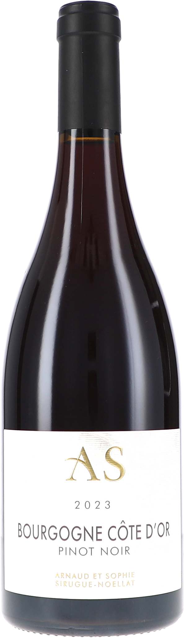 Wein, Rotwein, Pinot Noir, Bourgogne Côte d’Or, 2023