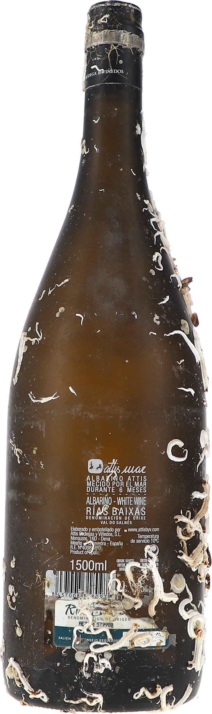 Alkohol, Bier, Getränk, Flasche, Schnaps