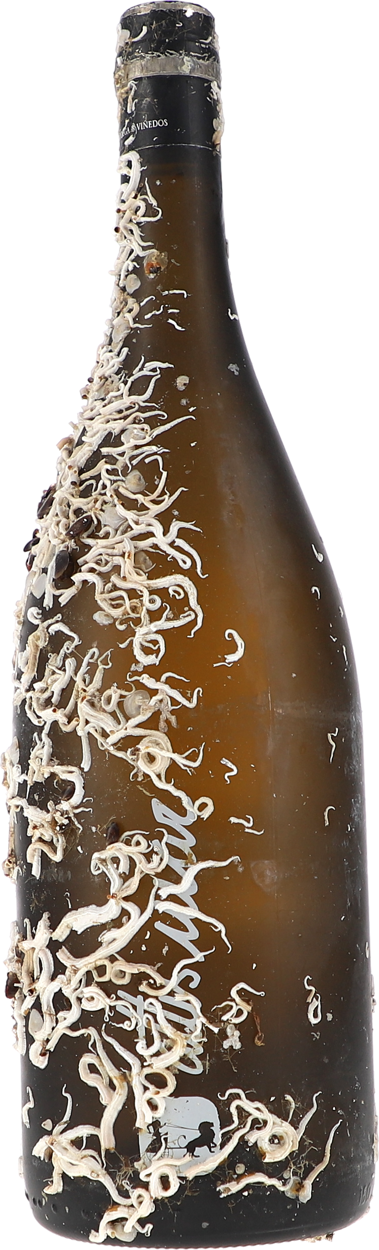 Alkohol, Bier, Getränk, Flasche, Bier-Flasche