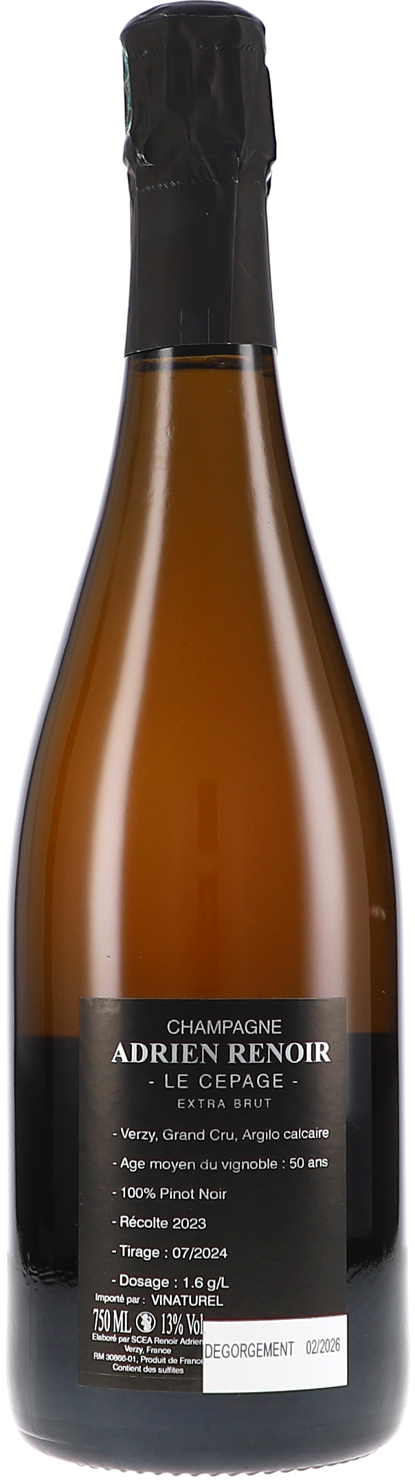 champagne, Sekt, Flasche, Glasflasche, dunkles Etikett