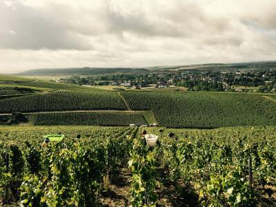 de l'Enclos