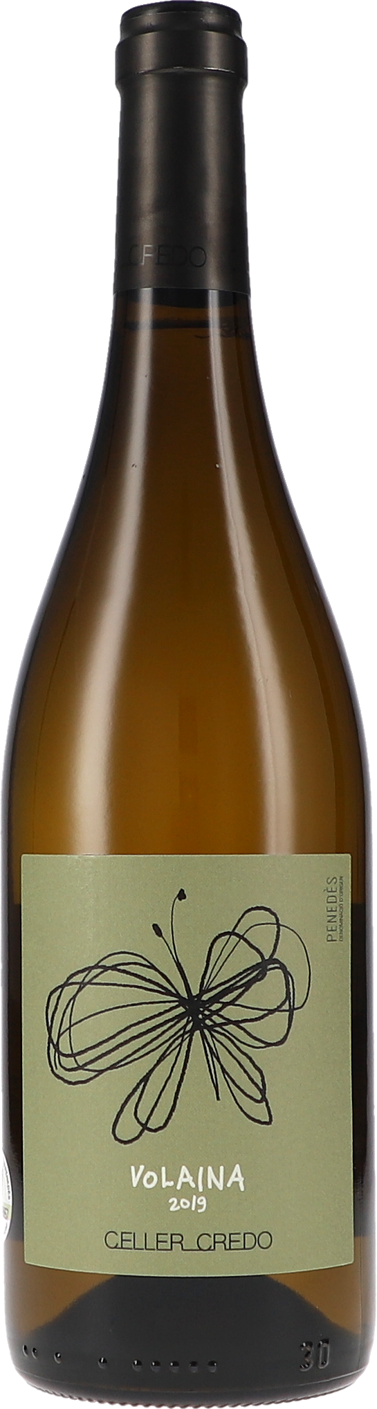 Flasche, Alkohol, Getränk, Weinflasche, Bier