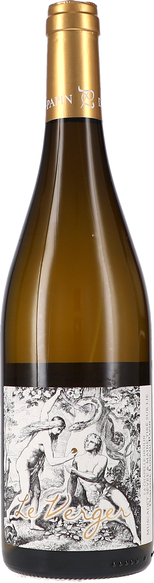Le Verger AOP Weißwein, Flasche, Goldkapsel, Etikett Le Verger, Weißweinflasche