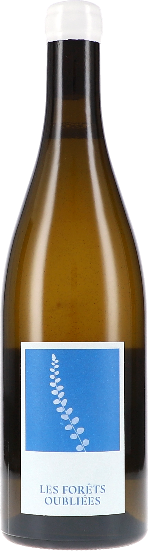 Flasche, Alkohol, Bier, Bier-Flasche, Schnaps