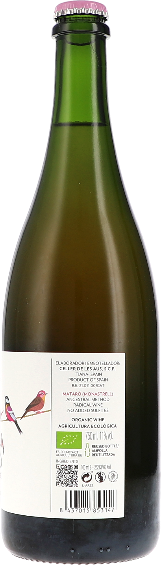 Alkohol, Bier, Getränk, Flasche, Schnaps