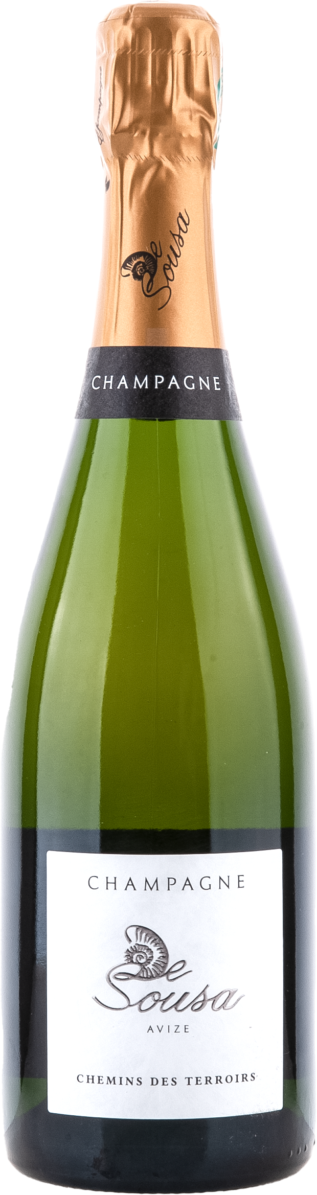 Chemins des Terroirs Extra Brut Champagne, Flasche, Schaumwein, Etikett, Farbton