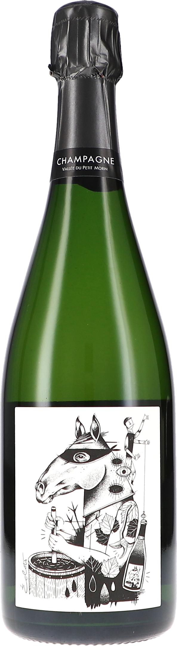 champagne, Flasche, Sekt, grüne Flasche, Weinflasche mit Etikett