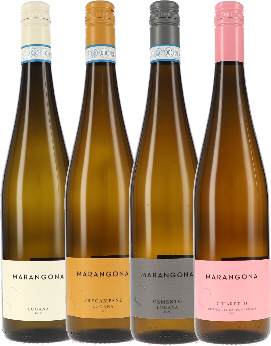 wein, weisswein, flasche, glasflasche, etikett MARANGONA