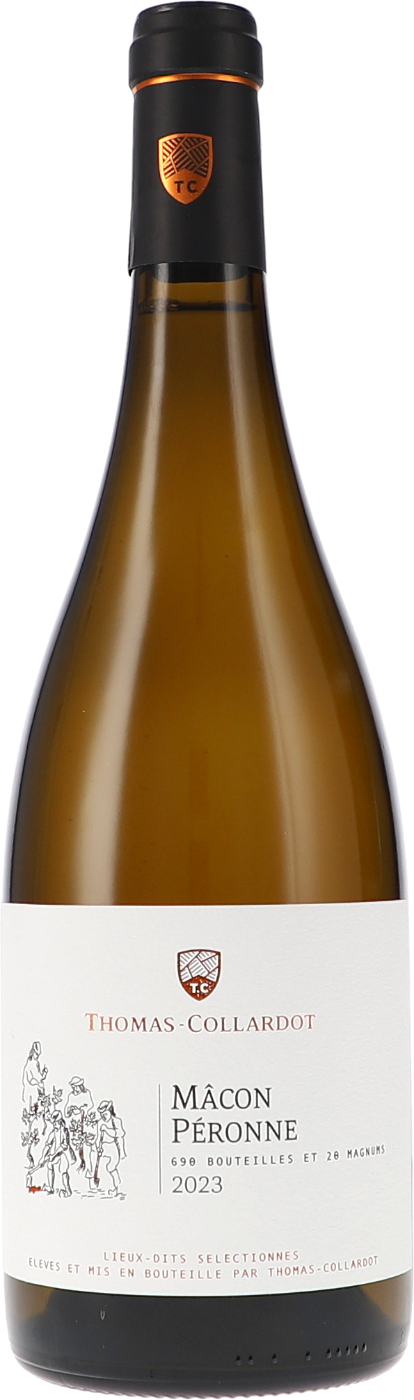 Alkohol, Getränk, Flasche, Weinflasche, Bier