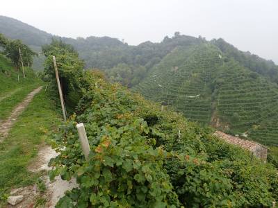 Casa Coste Piane
