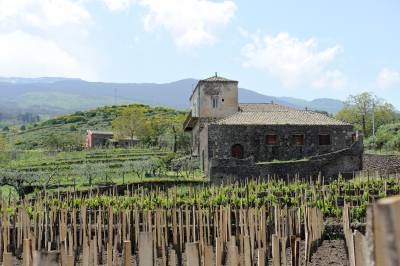 I Vigneri di Salvo Foti